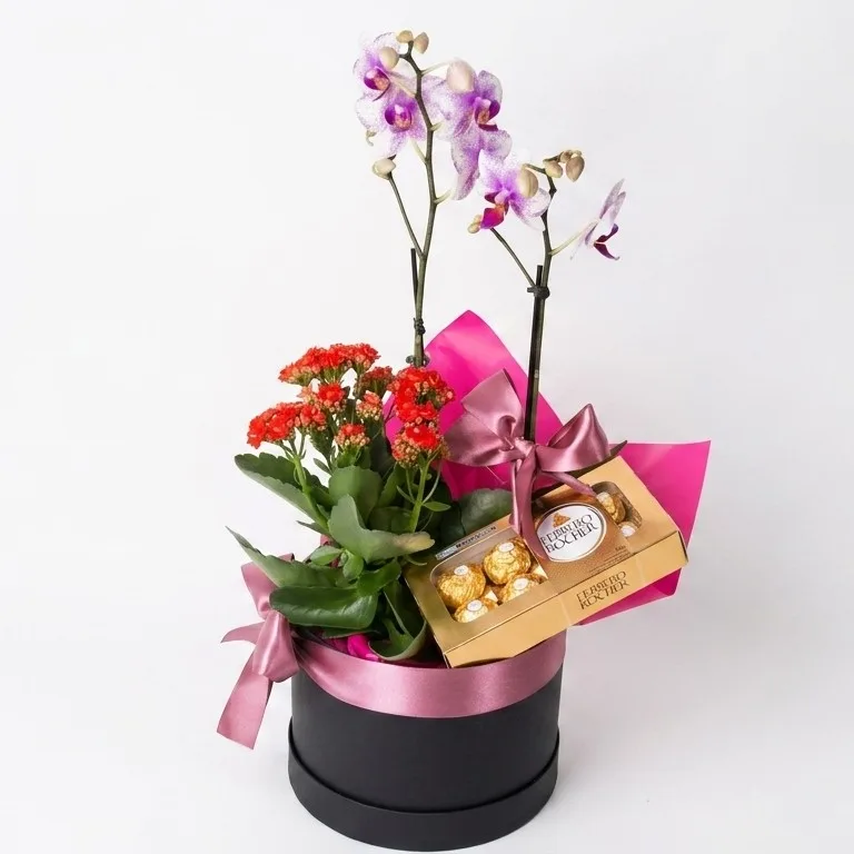Box Cartonada P Com Orquídea Flor Plantada e Chocolates Ferrero Rocher