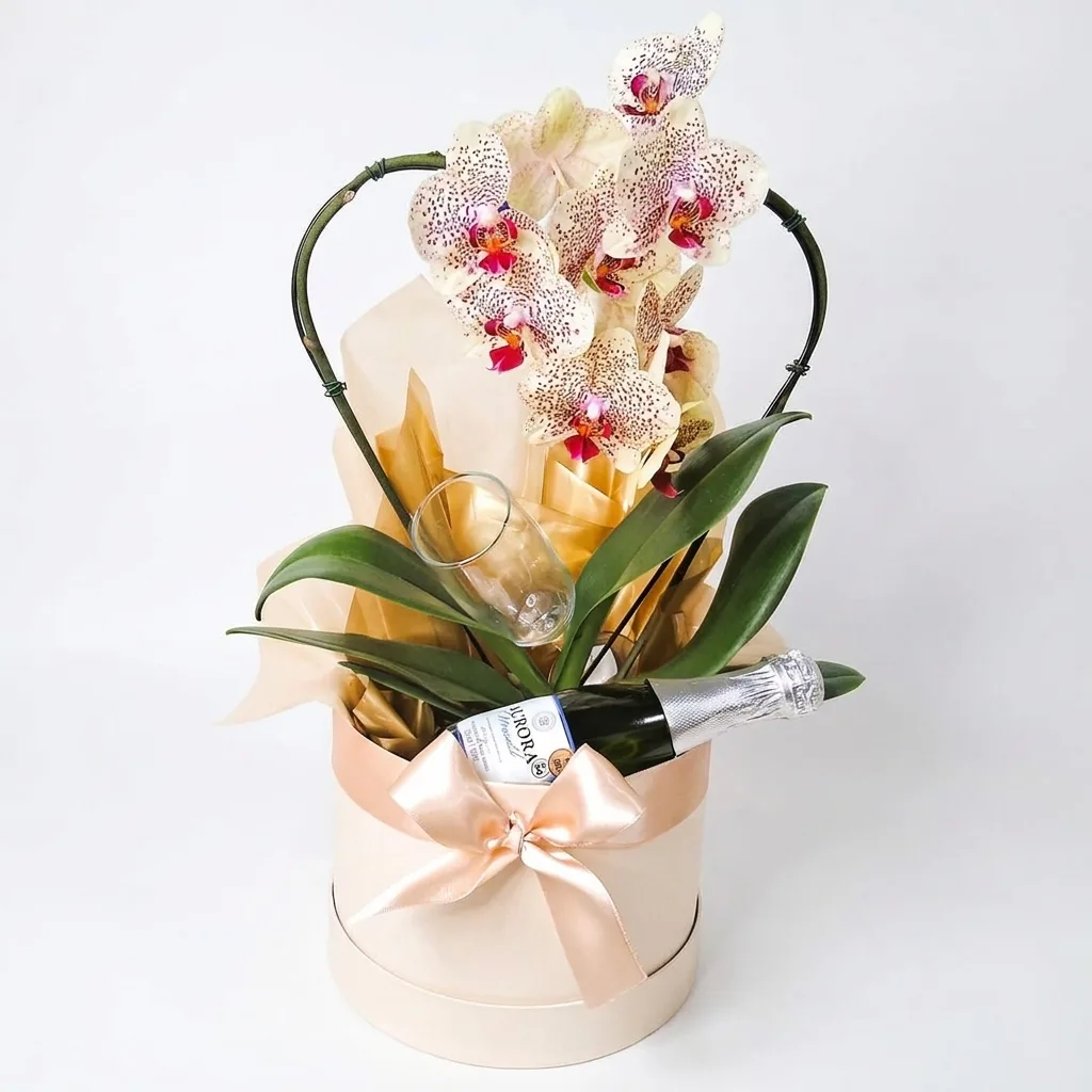 Box Cartonada P Com Orquídea Mini Espumante e Taça