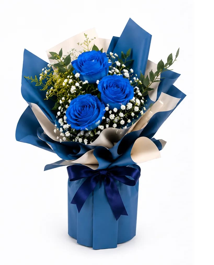 Buque Mini Safira Azul
